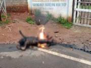Truck driver’s charred body sent shivers across Vizag city