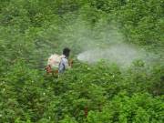 Farm bills: Adilabad farmers skeptical about Centre’s agriculture reforms