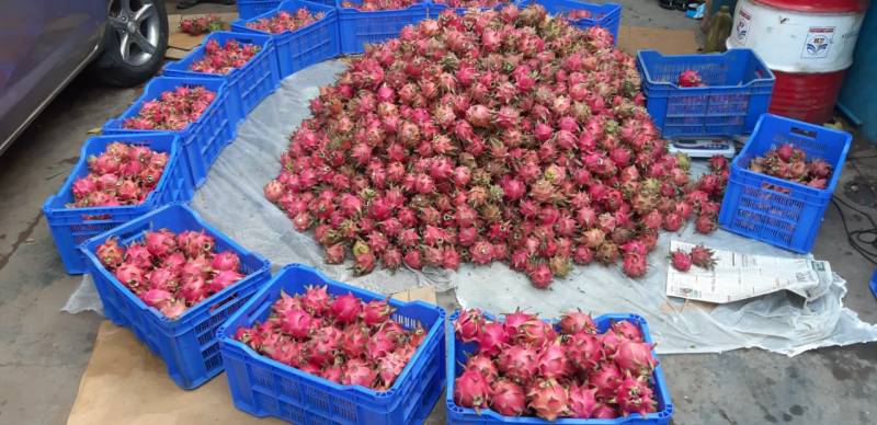 Vizag streets turn pink with dragonfruits!