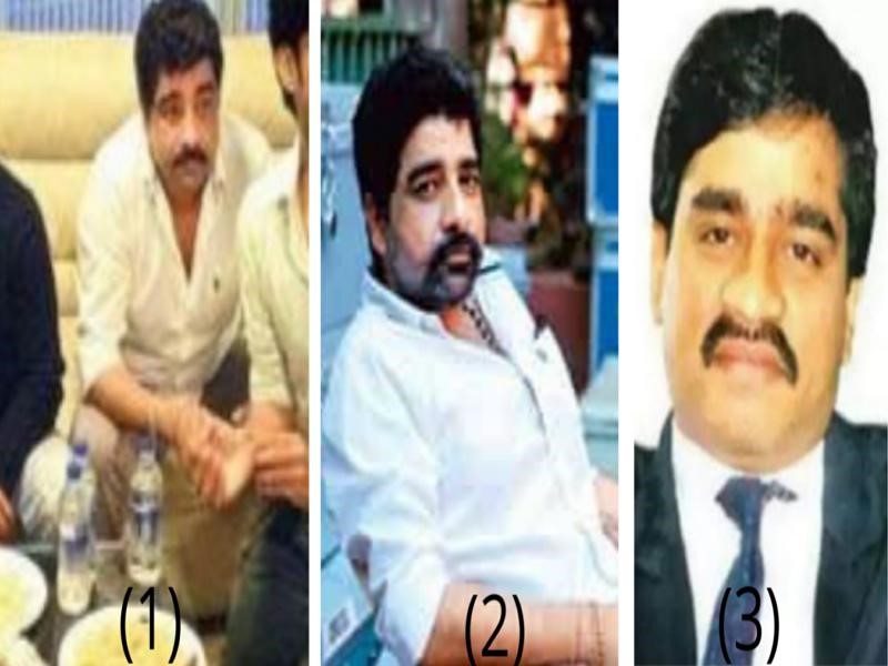 Dawood Comparision Wasim Khan