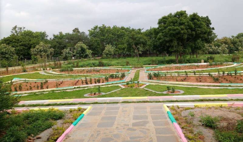 Sanjivani Forest And Park Gurram Guda Hyderabad C9qt4dfuzh