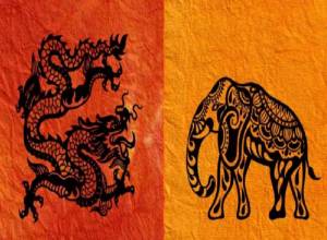 Opinion: Beating Dragon in its own game