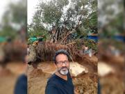 Go Green: NGO offers solution to revive fallen trees